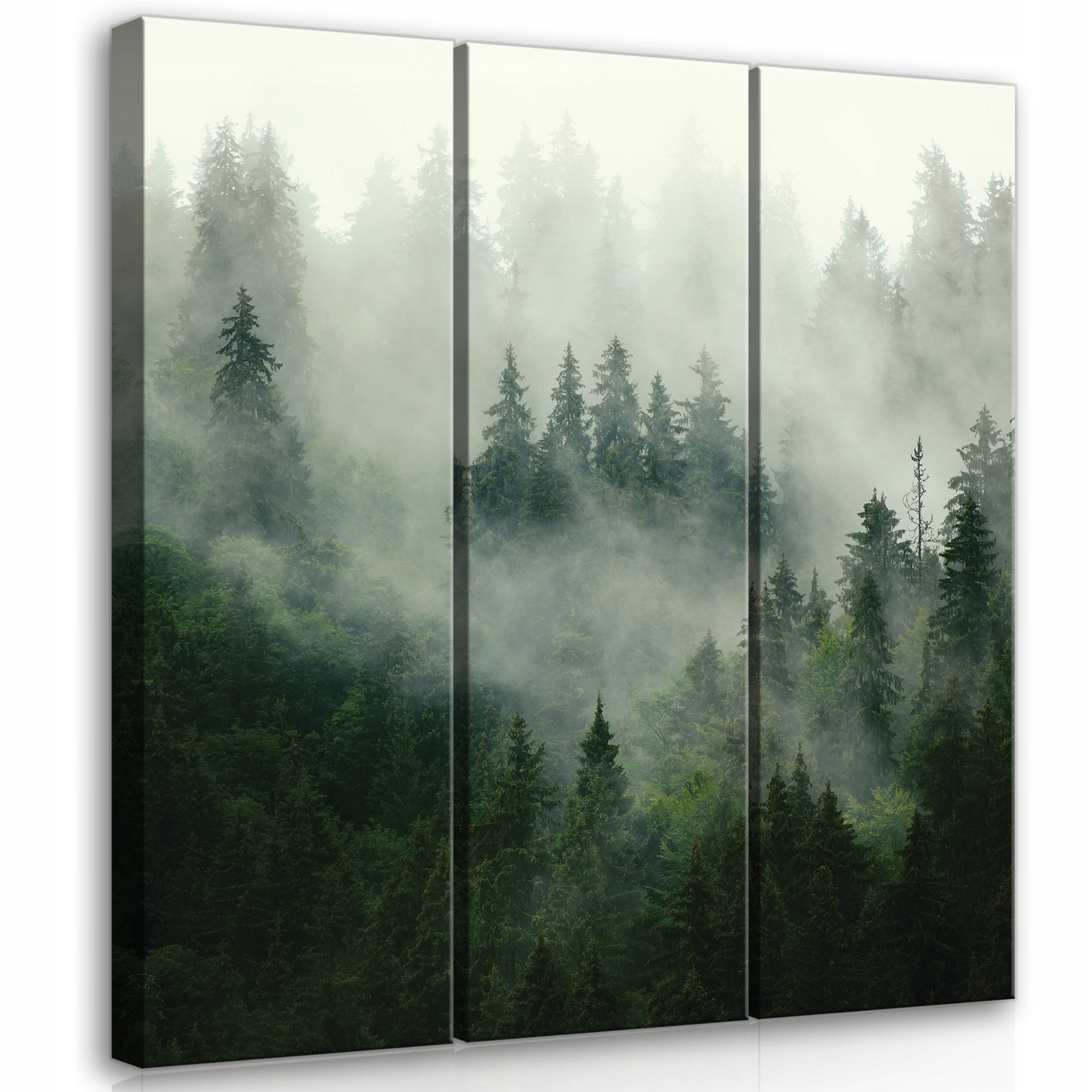 Obraz Les V Mlze Triptych 3 Obrazy Na Plátně Stěna Obrazy Na Stěnu 90x100
