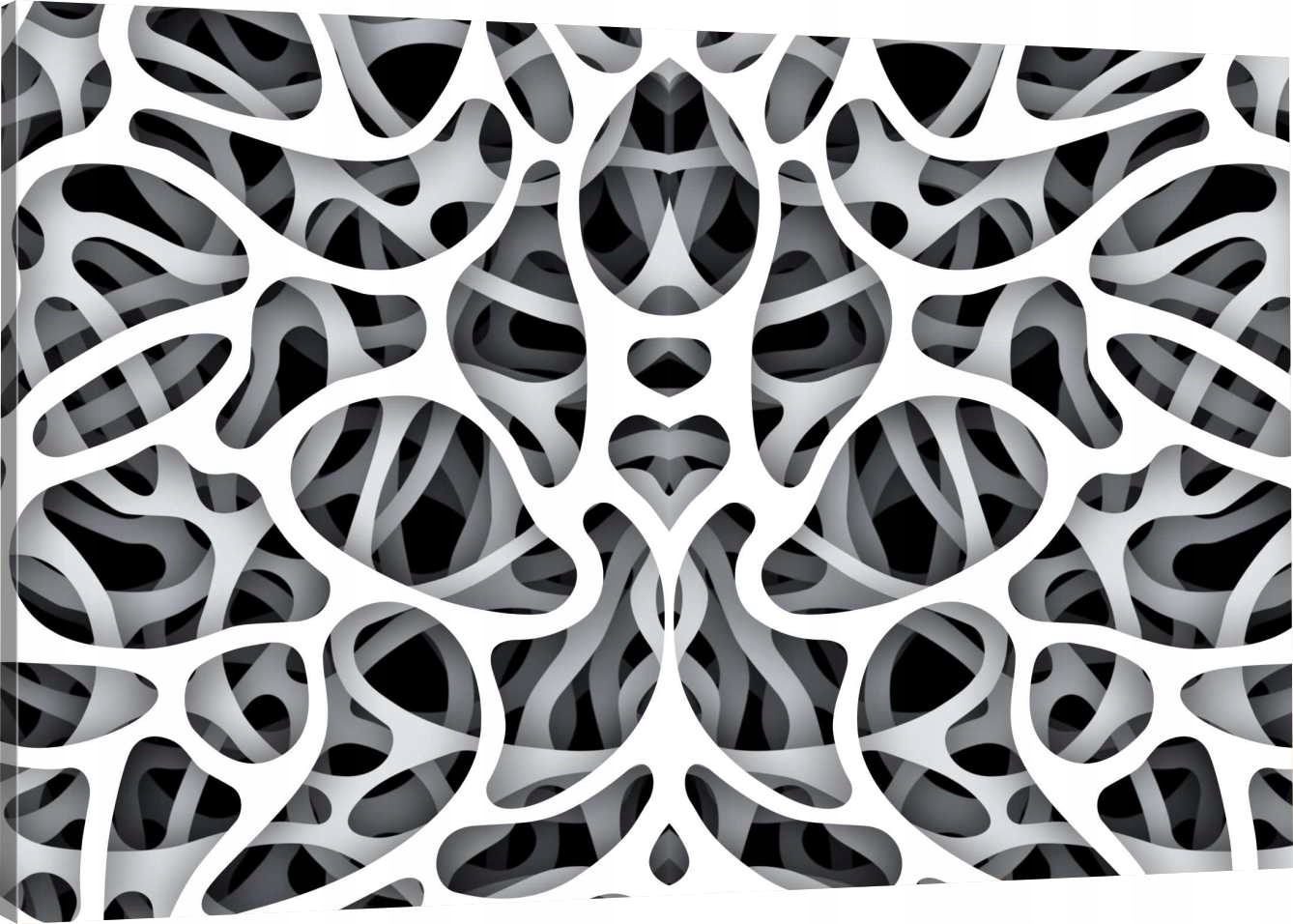 

Obraz Na Płótnie Do Biura Biel Czerń 70x50 980 Wz