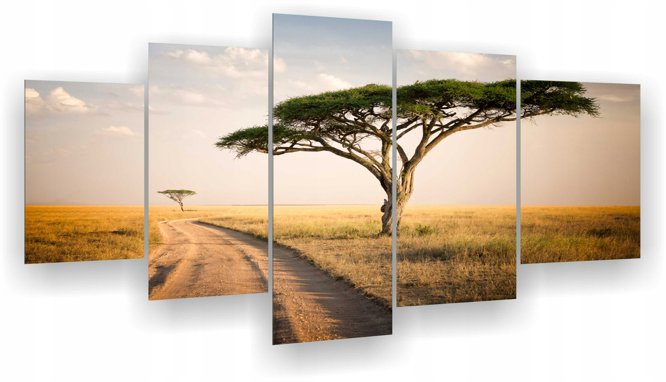 

Obraz 5 częsciowy tryptyk drzewo w afryce maxwybór