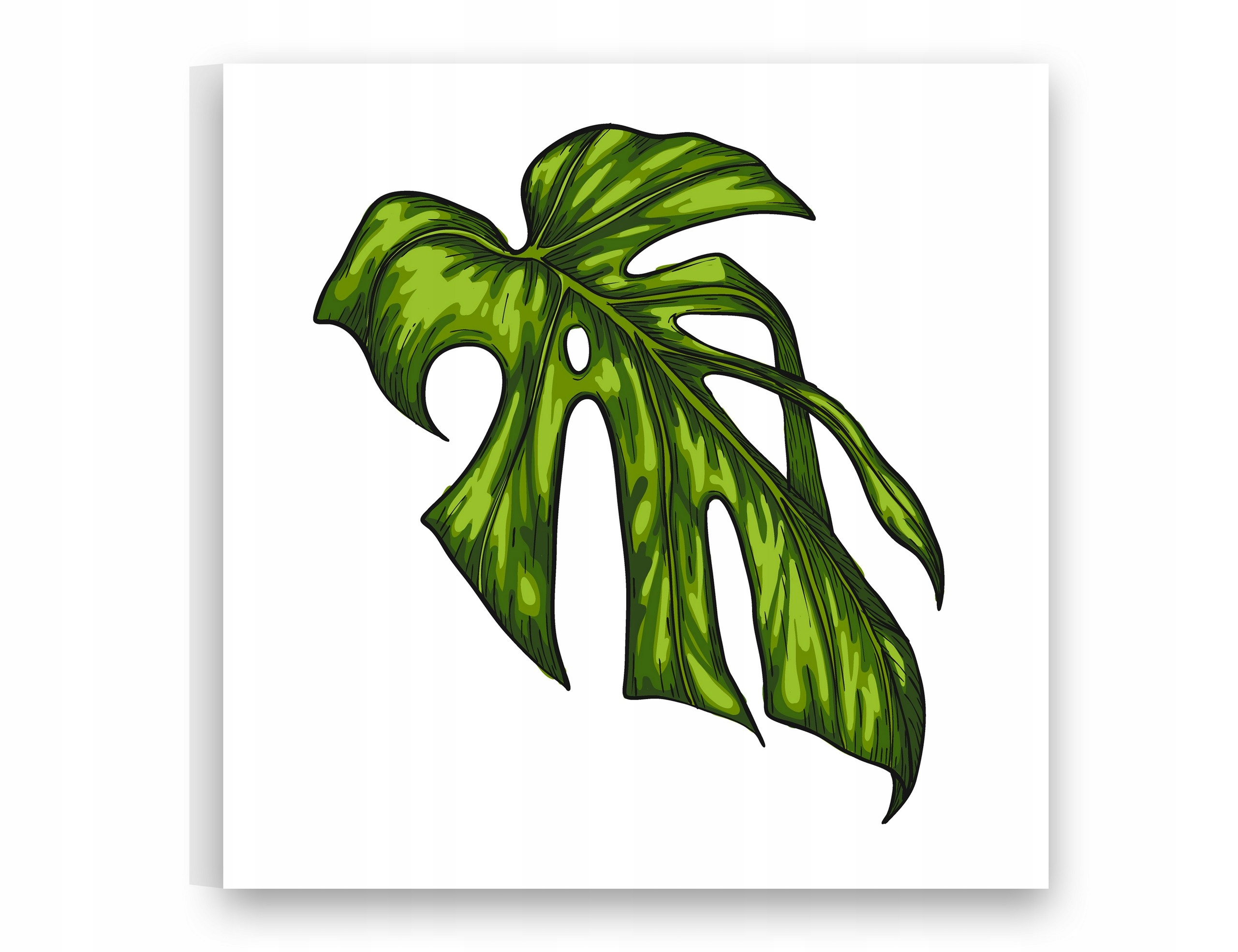 

Obrazy na płótnie 50X50 Obraz Liść Monstera