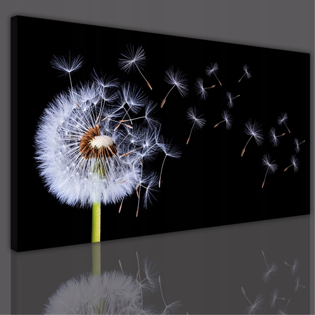 

Obraz obrazy na ścianę do salonu sypialni dmuchaw