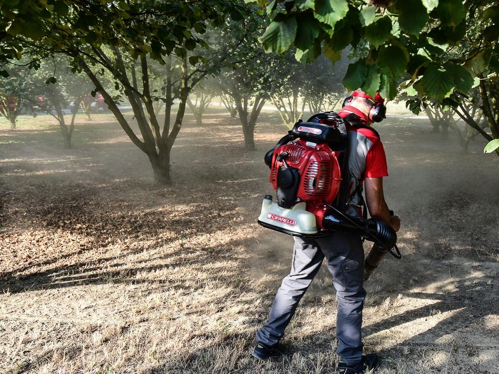 DMUCHAWA SPALINOWA DO LIŚCI Cifarelli BL1200 5 KM Moc 3600 W