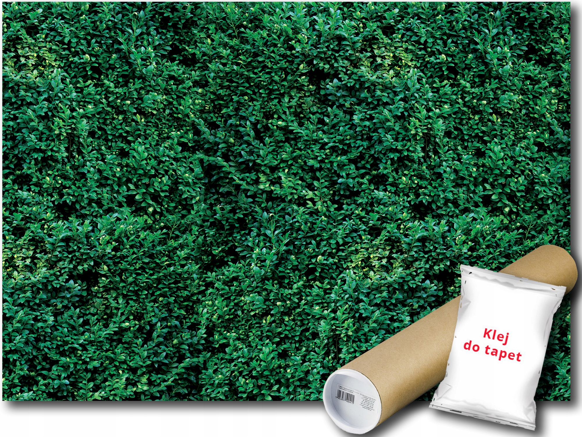 Fototapeta Krušpan Krík 9E F2XL 312x219 F2623