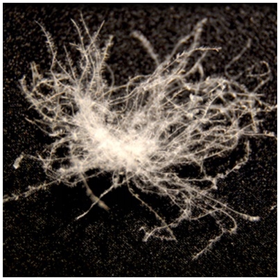 Poduszka z puchu 40x40 400g Kolor kremowy odcienie różowego