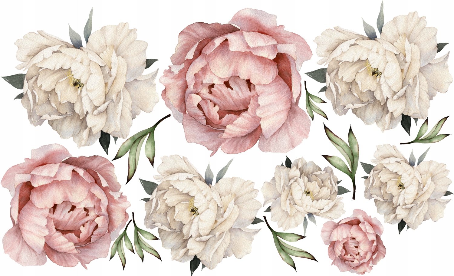 

Naklejka na ścianę Piwonie 100 cm Peonie