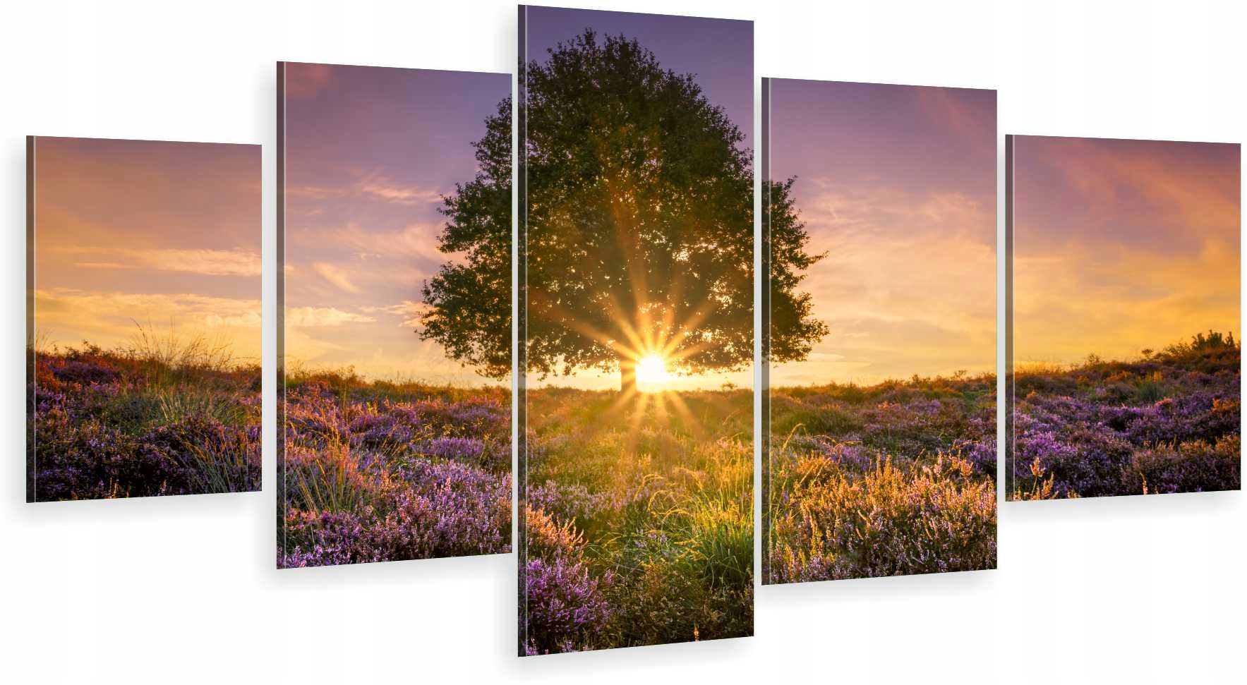 

Tryptyk 5-CZĘŚCI Na Ścianę Lawenda Drzewo Zachód