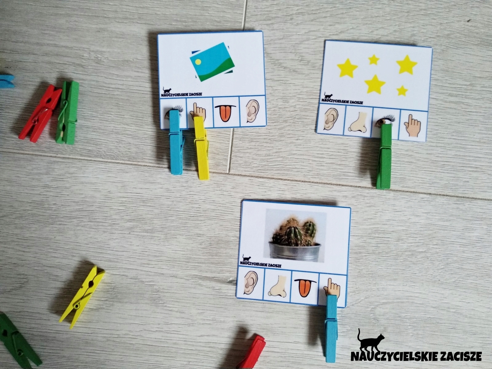 KLAMERKOWE POMOCE DYDAKTYCZNE Zmysły ISBN 9786124261442