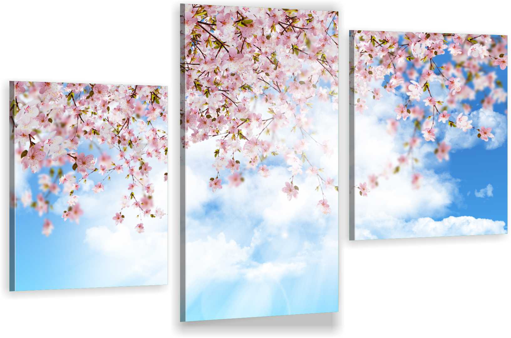 

Tryptyki Obraz Na Ścianę Niebo Kwiaty 980 Wzorów