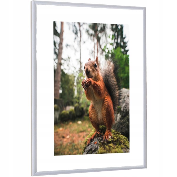 

Ramka Na Zdjęcia Srebrna Rama Aluminiowa 25x38