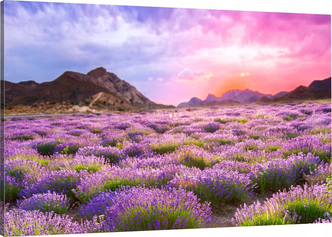 

Obraz Na Płótnie Lawenda Widok 70x50 800 Wzorów