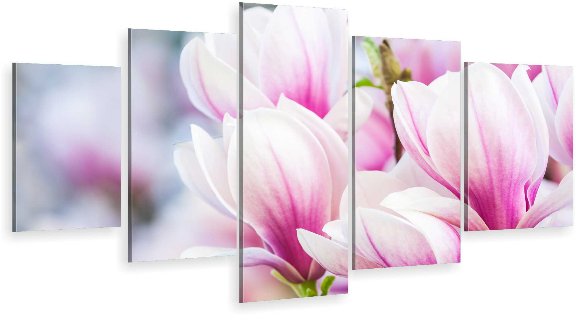 

Tryptyk 5CZĘŚCI Na Ścianę Do Salonu Magnolia Kwiat