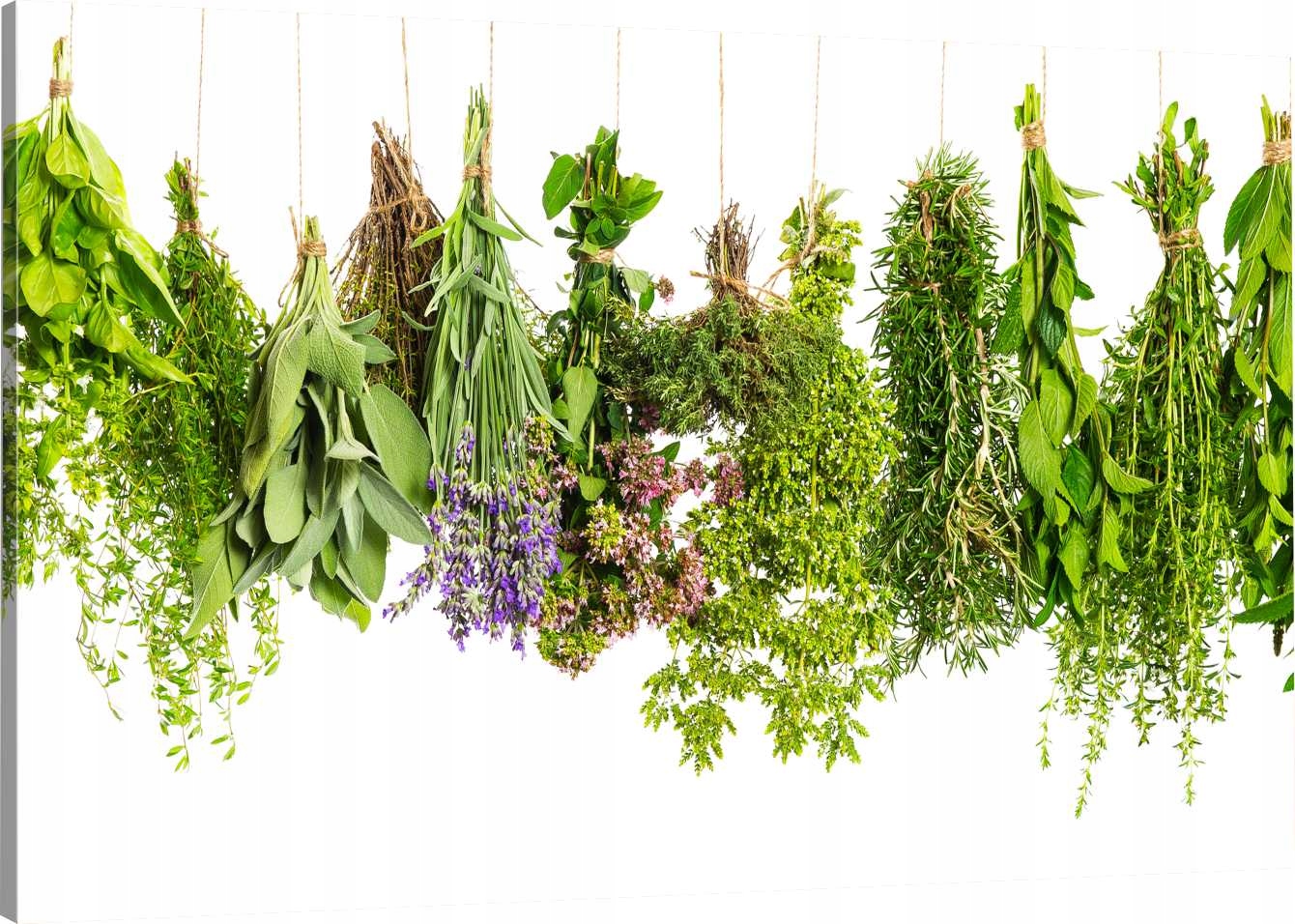 

Obraz Na Płótnie Do Kuchni Zioła 90x60 800 Wzorów