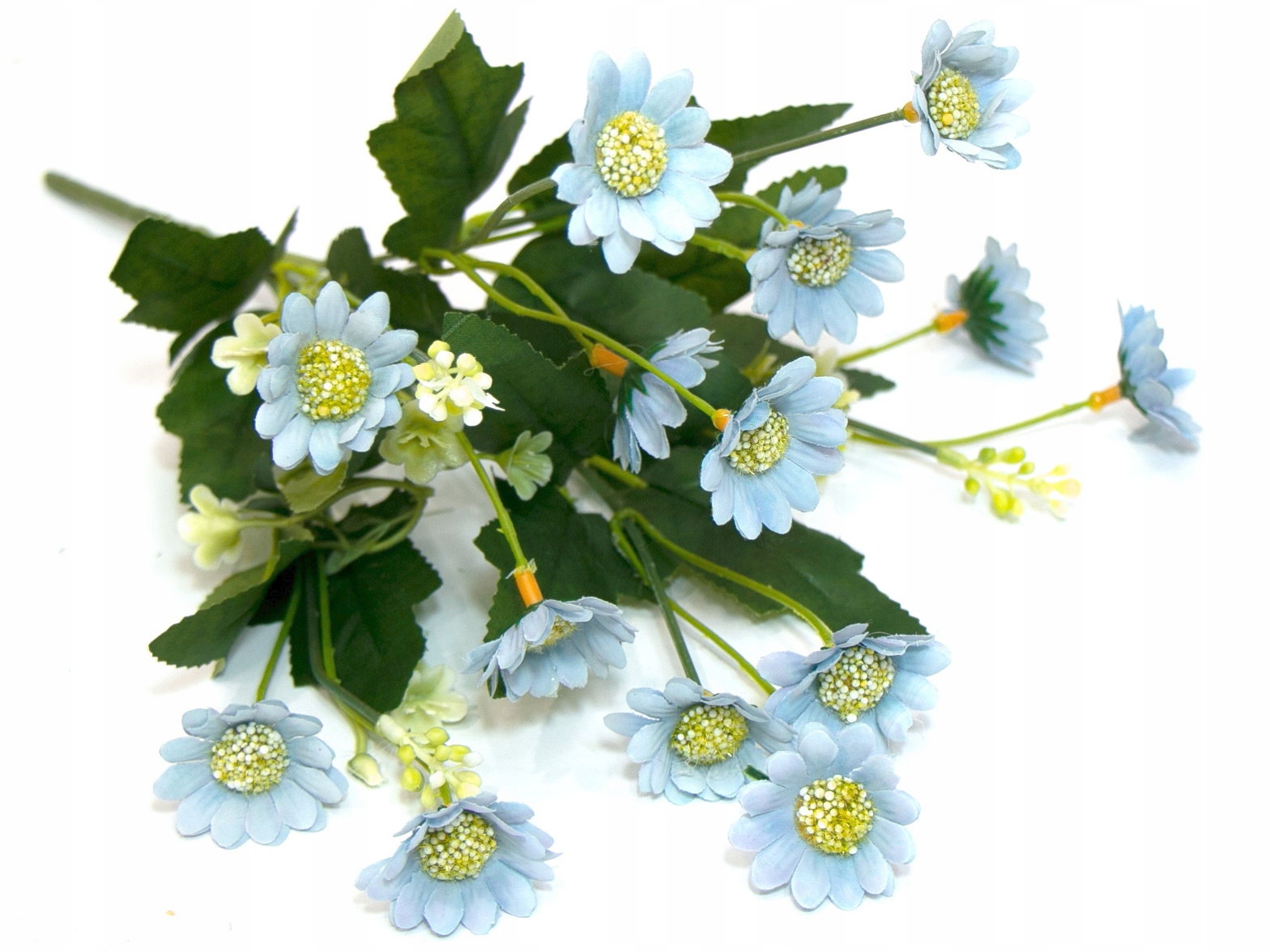 RUMIANKI BUKIET RUMIANKÓW 6 gałązek 33cm