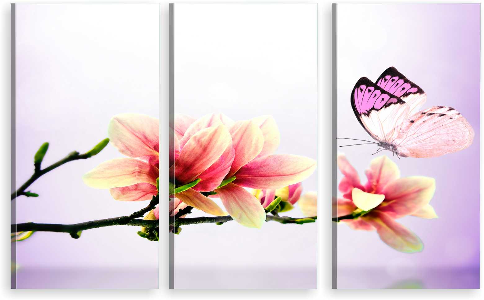 

Tryptyk Obraz Na Ścianę Magnolia Motyl 800 Wzorów
