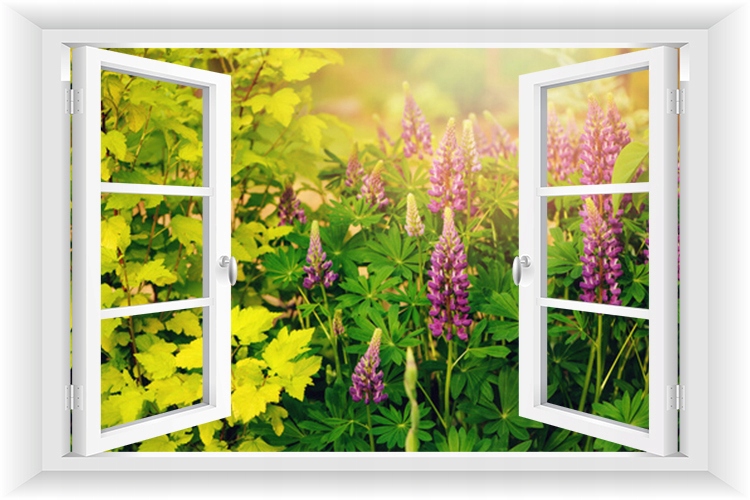 

Fototapeta Okno 3D Ogród Pergola Kwiaty 195x130