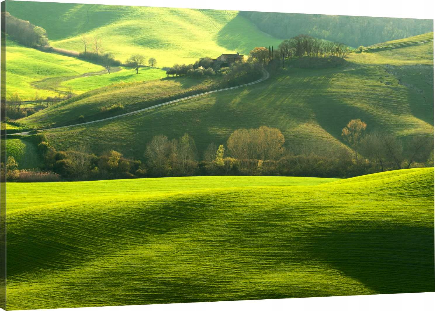 

Obraz Na Płótnie Toskania Zielone Pola 90x60 Hit