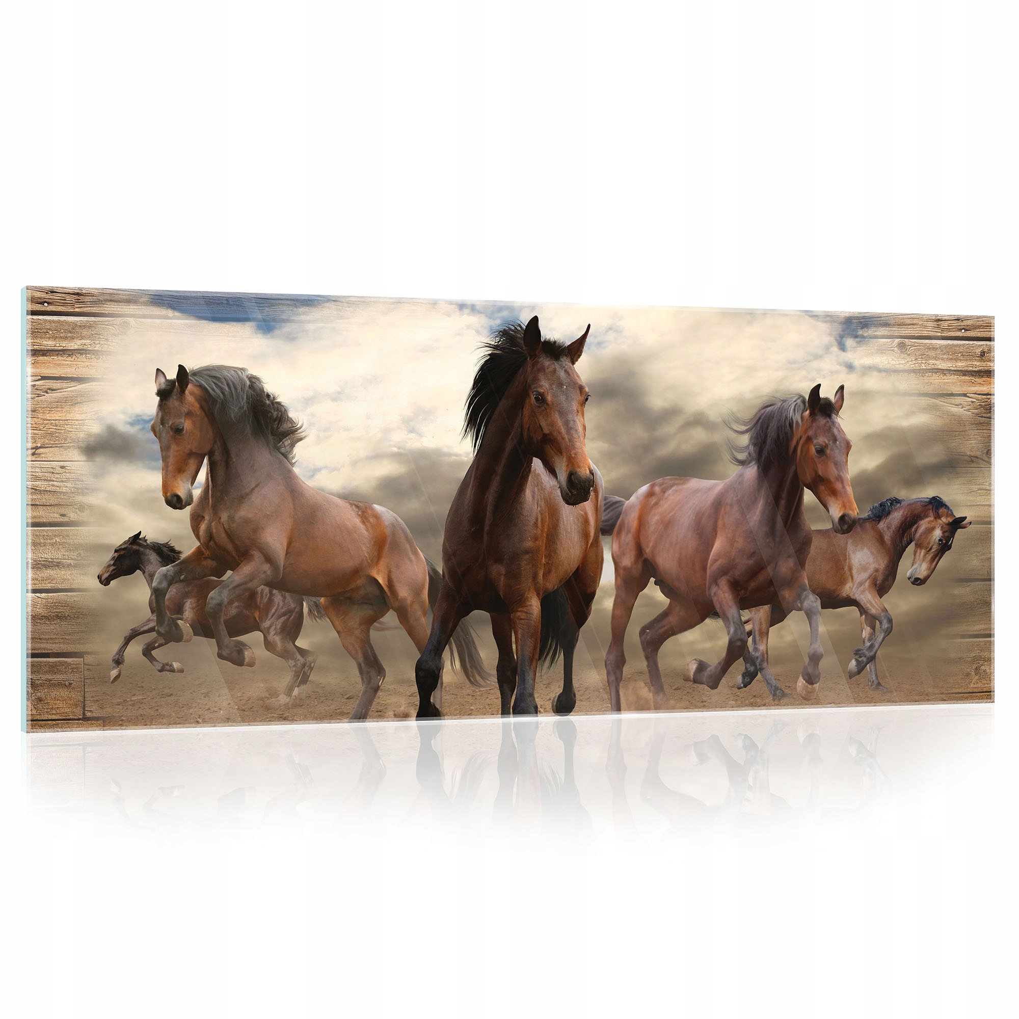 Skleněný obraz Zvířata a koně 3D 125x50
