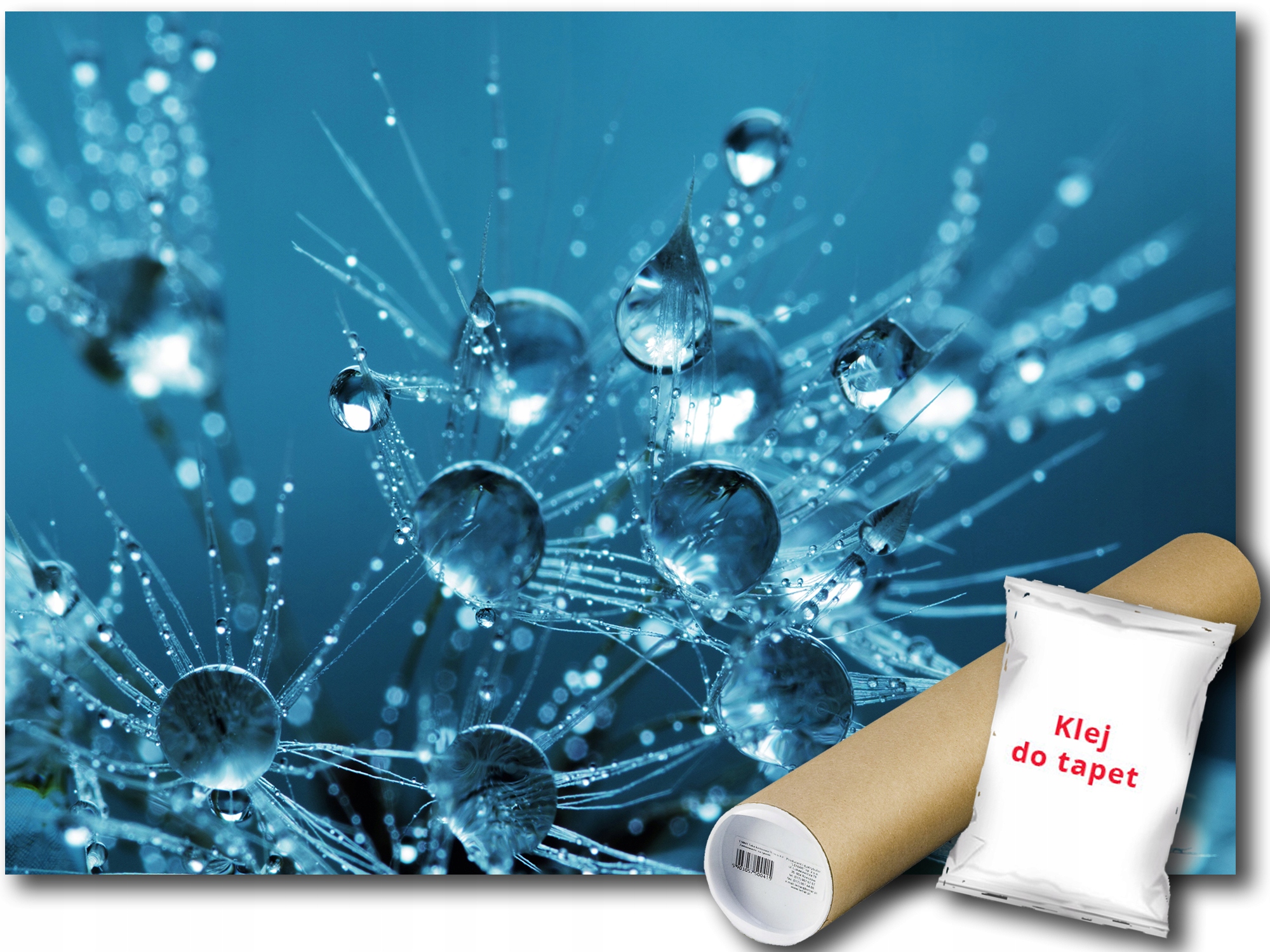 Fototapeta Púpava 9A F4XL 416x290 F13183