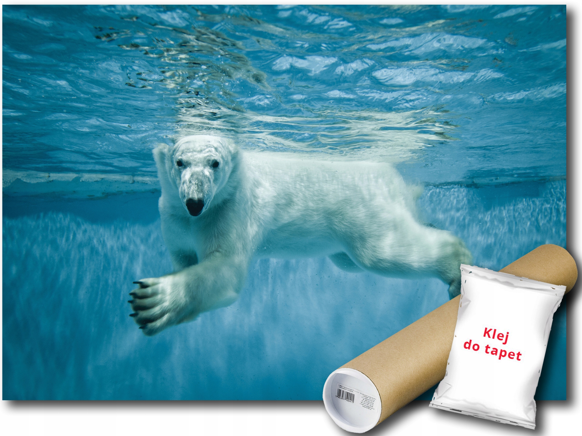 

Fototapeta Niedźwiedź 12C Pxl 254x184 P12621