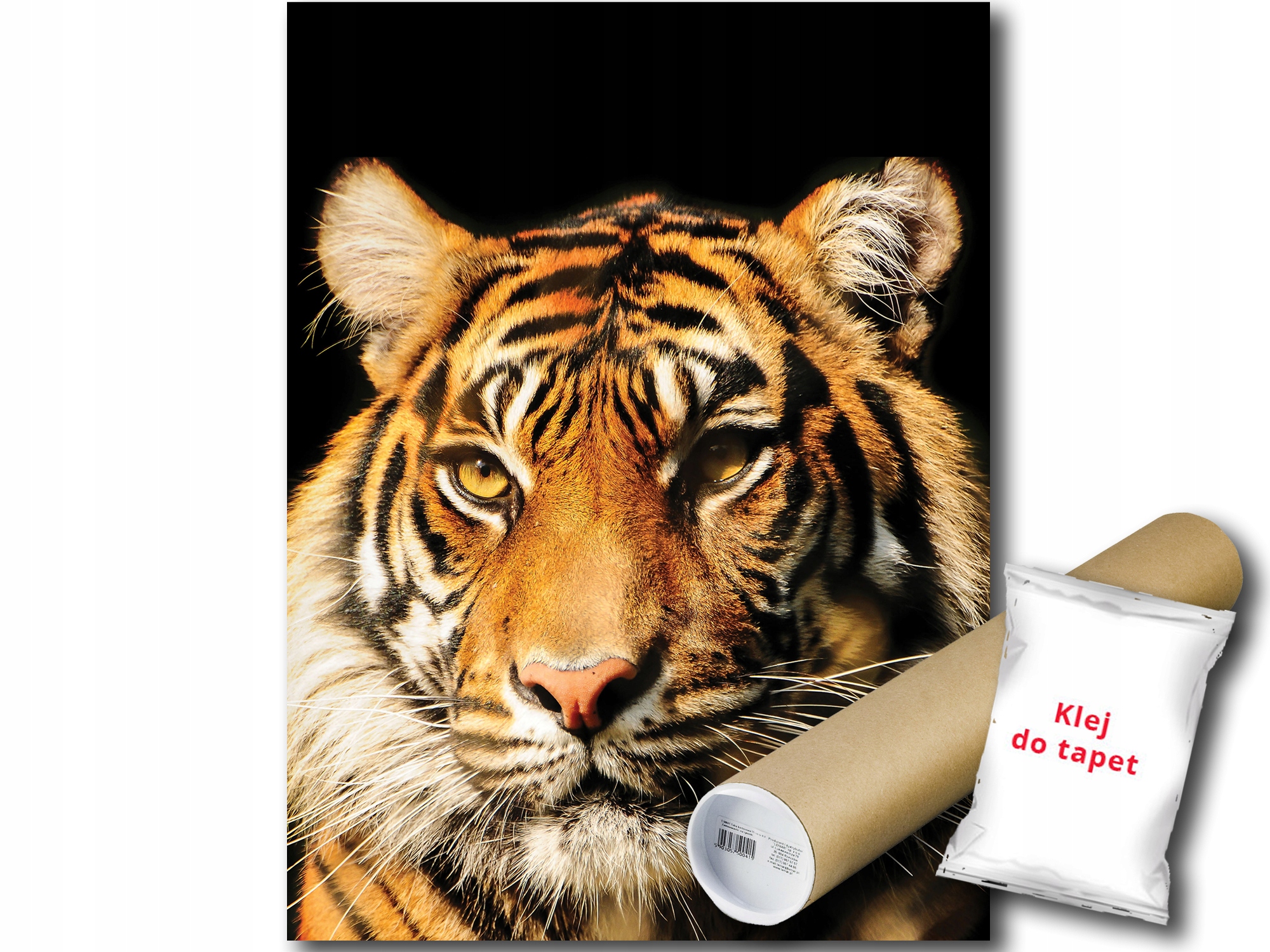 Fototapeta Tygr 12C Panxl 206x275 F20310