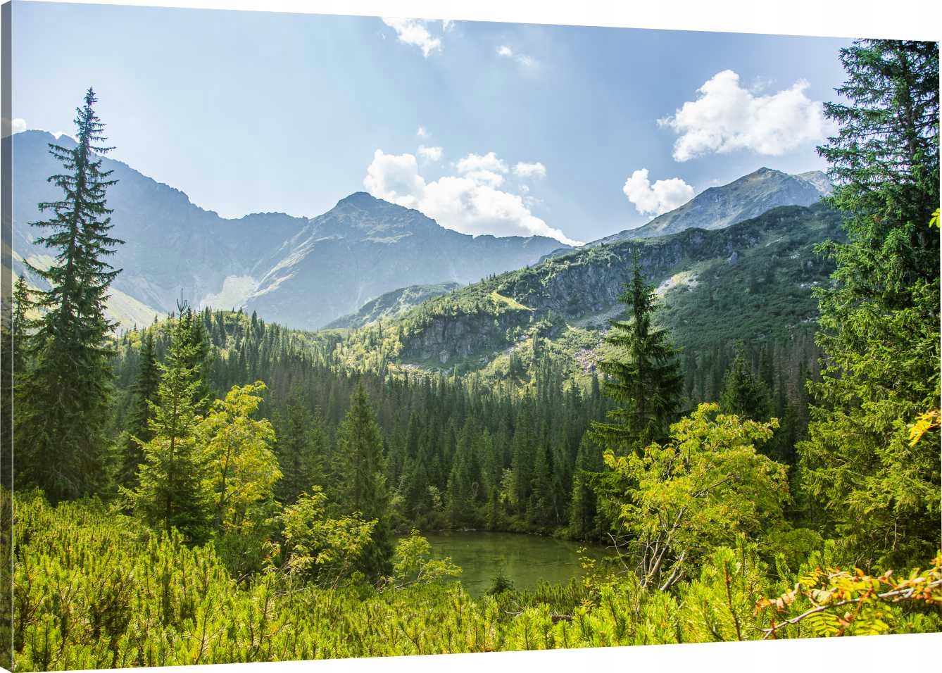 

Obraz Na Płótnie Do Sypialni Góry Zieleń 100x70