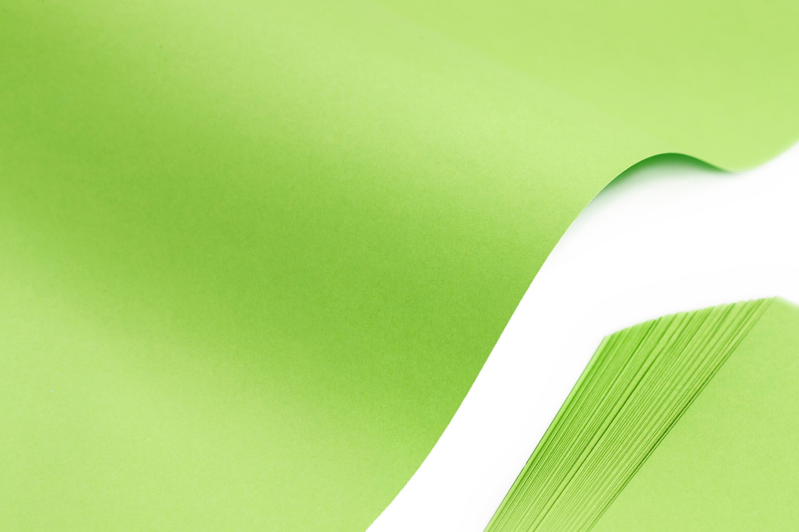 

Papier Ksero Xero Zielony 80g 50ark.