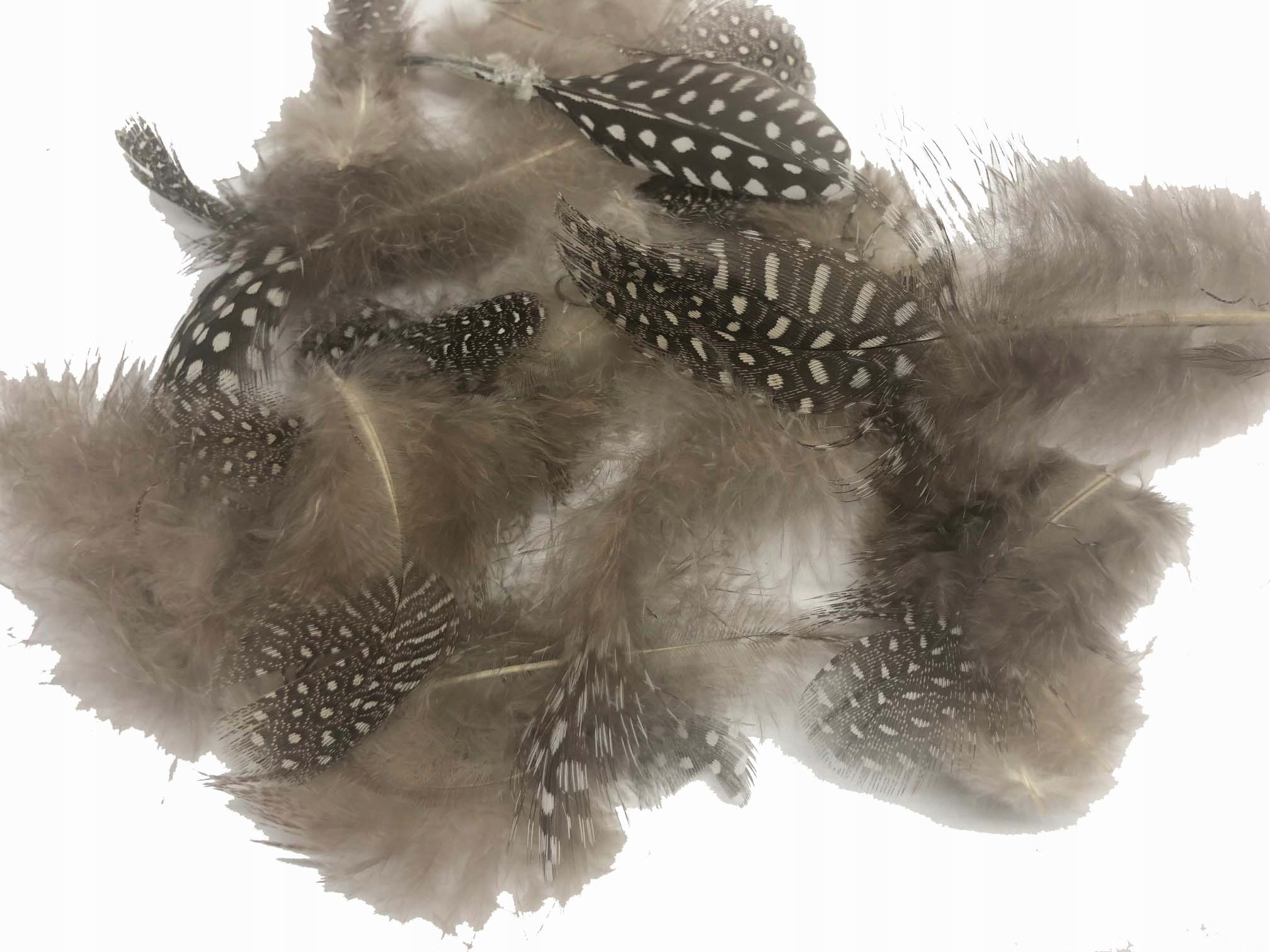 PIÓRKA PTASIE PRZEPIÓRCZE 5g PIÓRA NATURALNE SZARE Marka inna