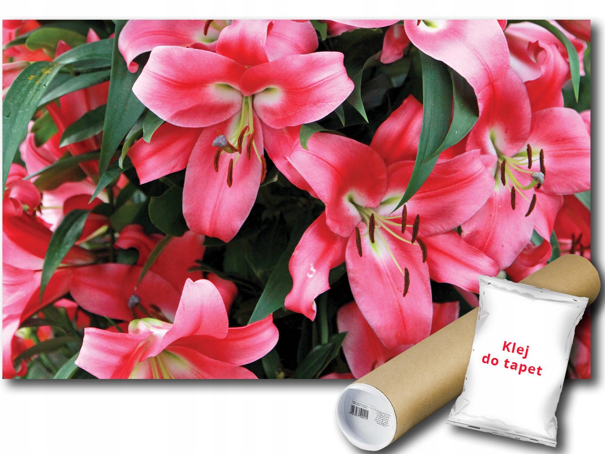 Fototapeta Lilie 9E Fxl 208x146 F3406