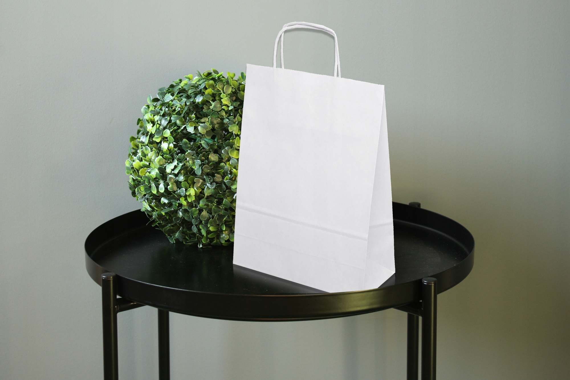 TORBA Torebka PAPIEROWA 24x10x32cm BIAŁA 10 szt Liczba sztuk w opakowaniu 10