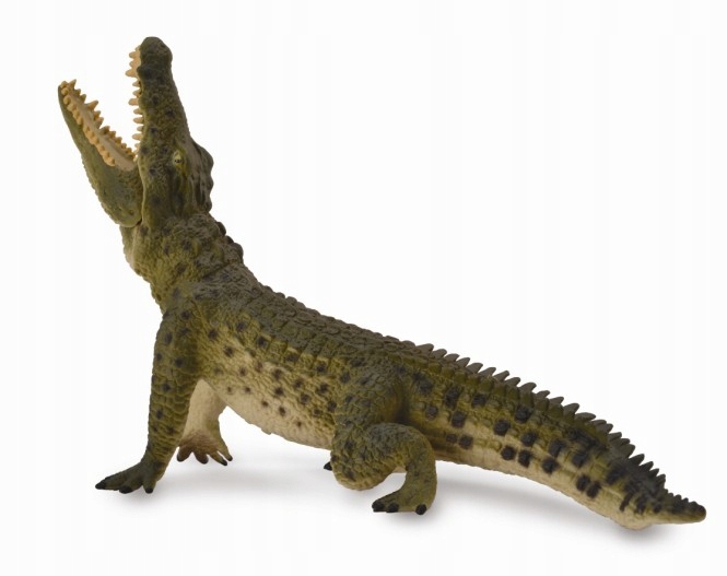 

Krokodyl Nilowy Z Ruchomą Szczęka CollectA 88725