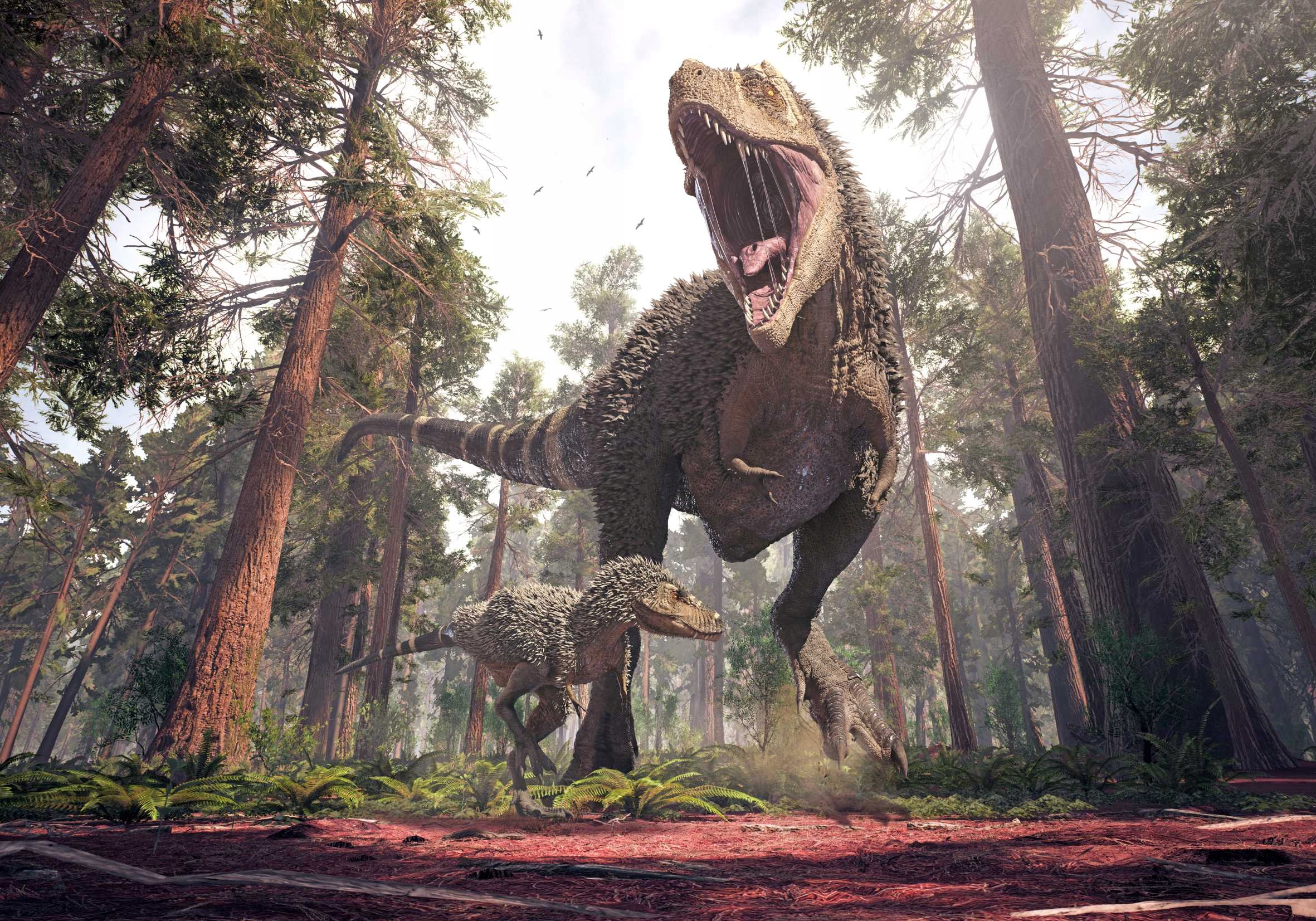 

Plakat Poster Dinozaur Dinozaury 70x50 Wybór