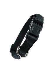 OBROŻA ZOLUX CUSHION TAŚMA 20 mm czarna