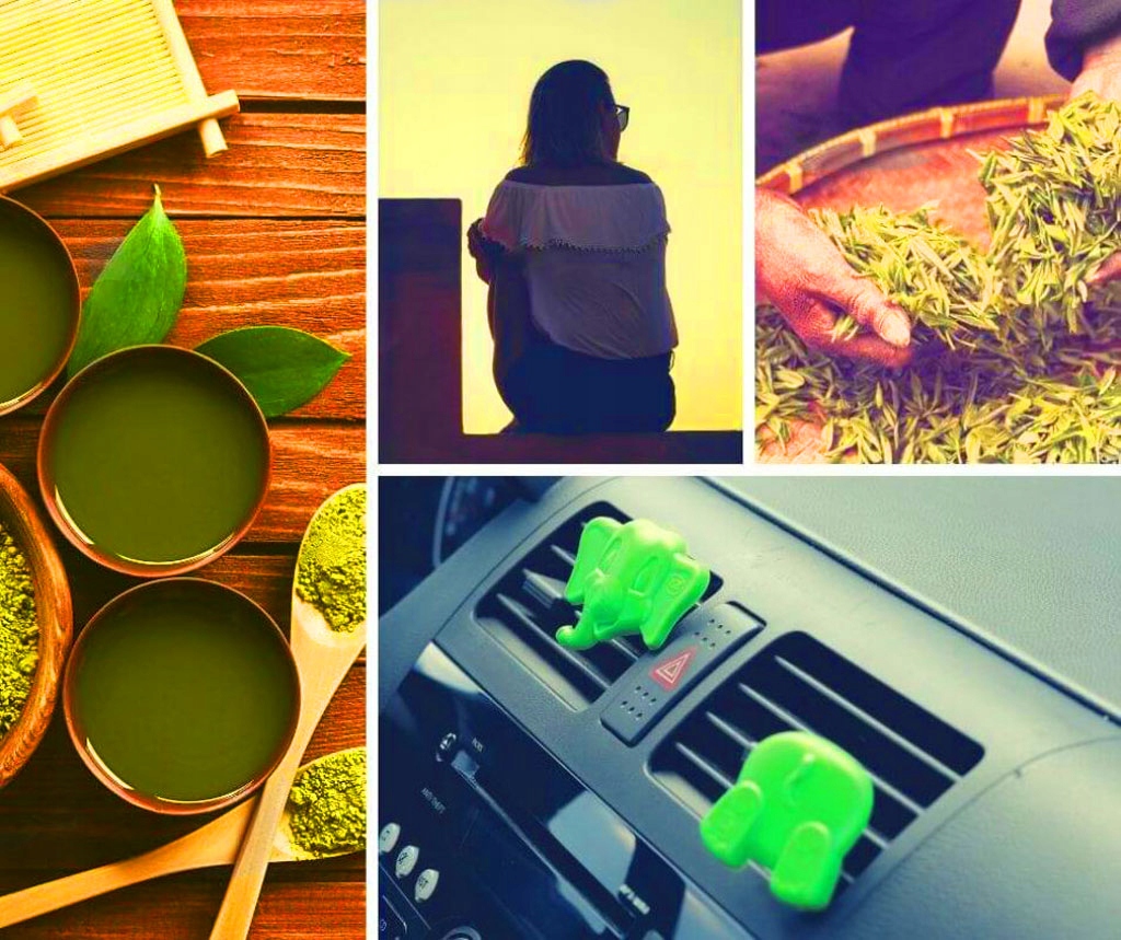 K2 ARLO SŁONIK ZAPACH ZIELONA HERBATA W KRATKĘ Rodzaj atomizery