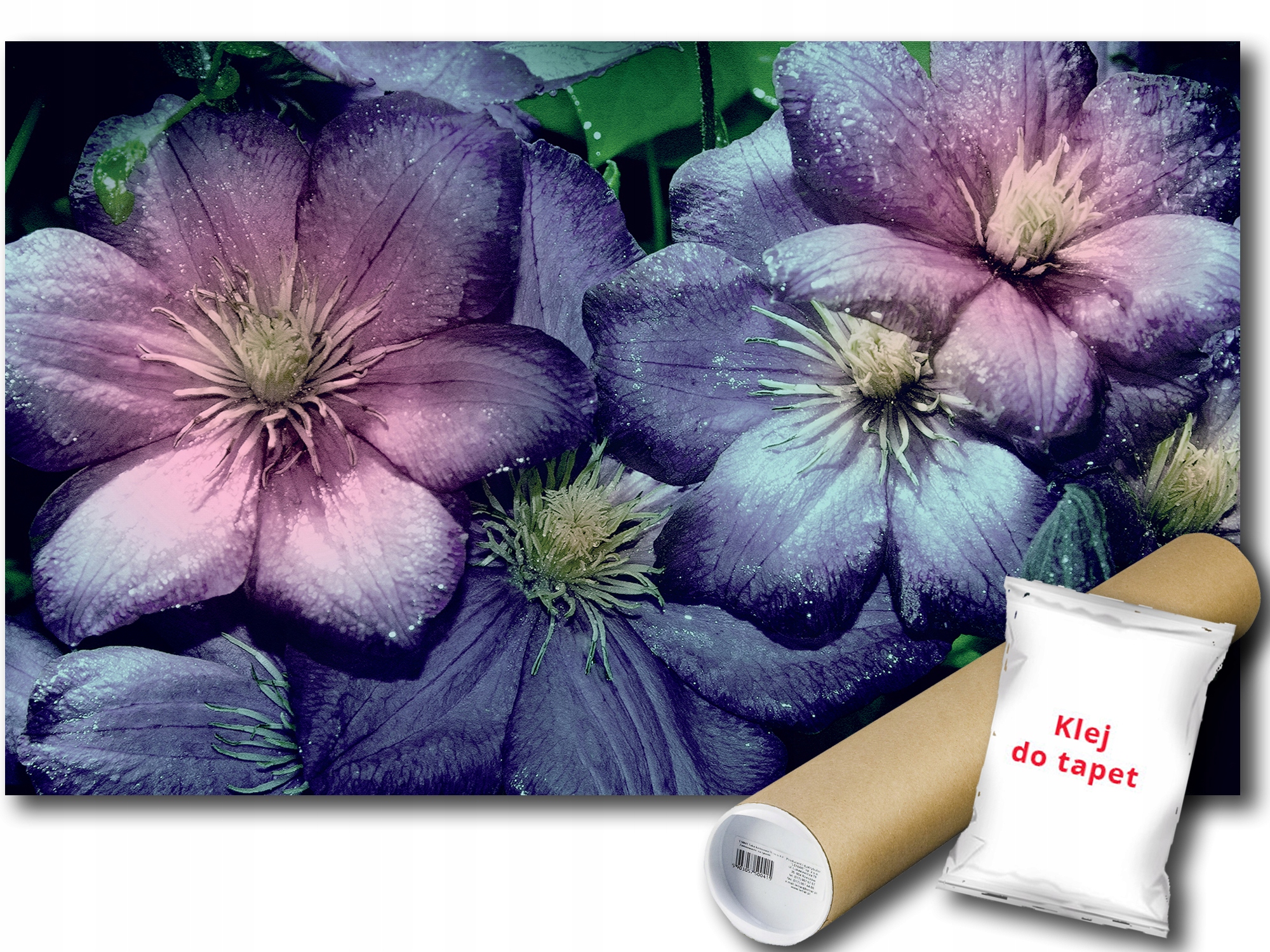 Fototapeta Kvety 9E V8 368x254 F3125