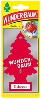 

Wunder-baum choinka zapachowa Erdbeeren truskawka