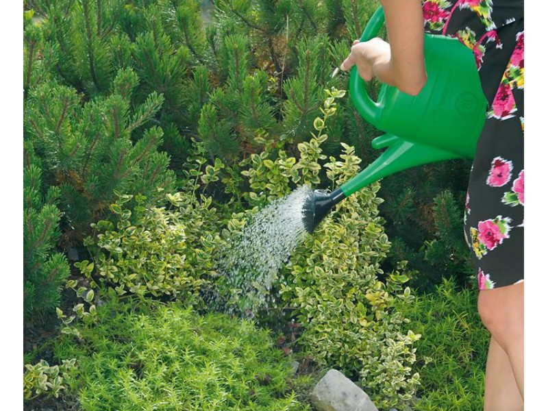 Konewka ogrodowa SPRING 5l IKSP05 — 12