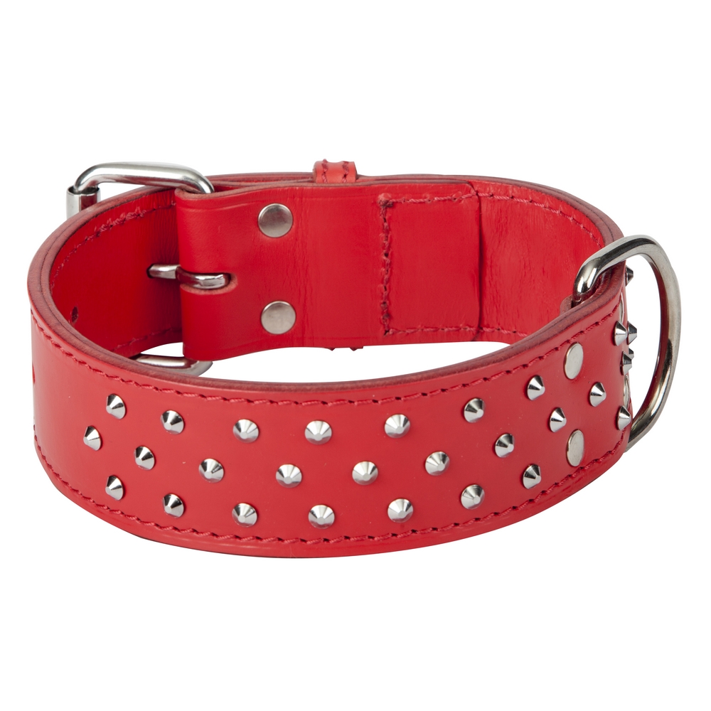 

Dingo Obroża Ozdobna Skóra Podwójna 5,0X60 Czerwon