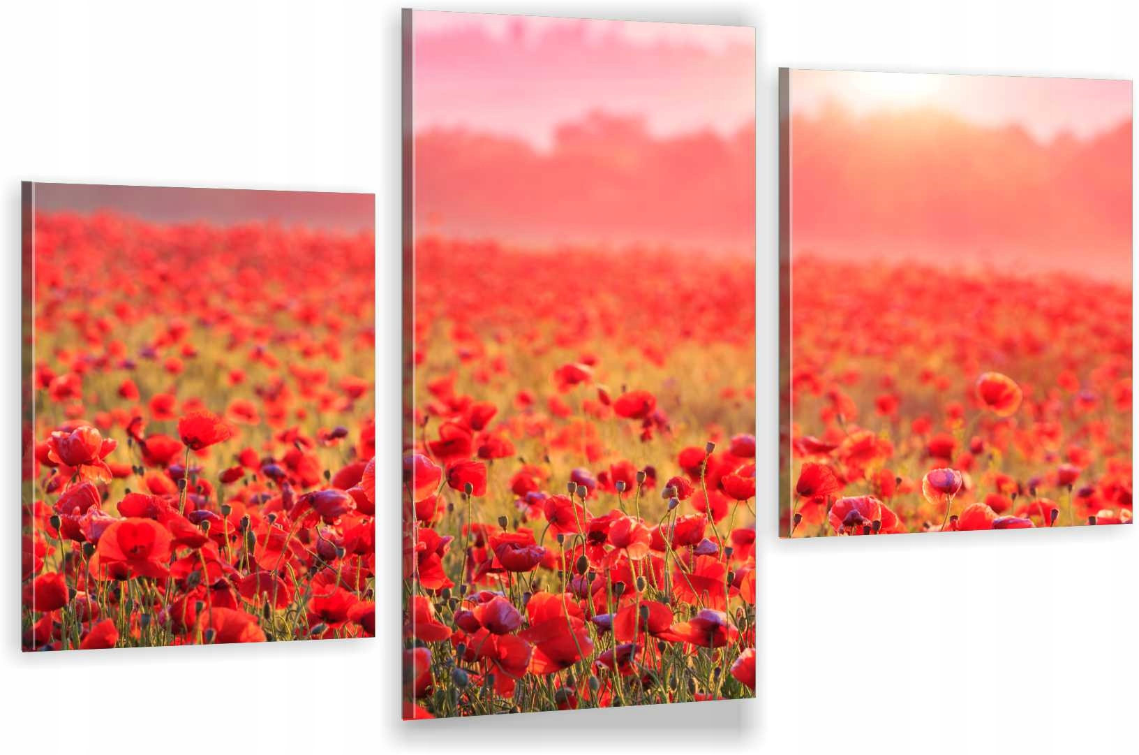 

Tryptyki Obraz Na Ścianę Polne Maki 800 Wzorów