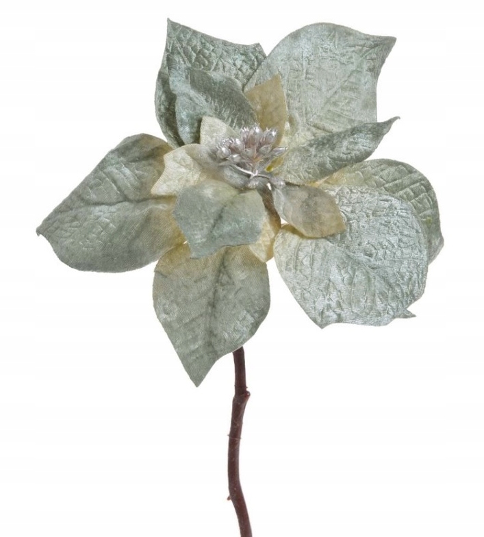 

Welwetowa Poinsecja Miętowa Gałązka 33cm