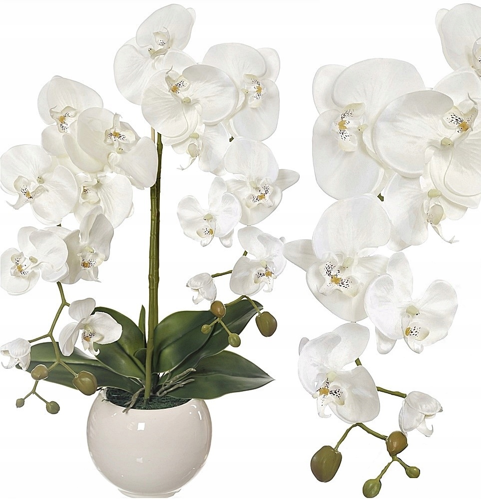 

Sztuczny Storczyk Kwiaty Sztuczne Storczyki Kwiat