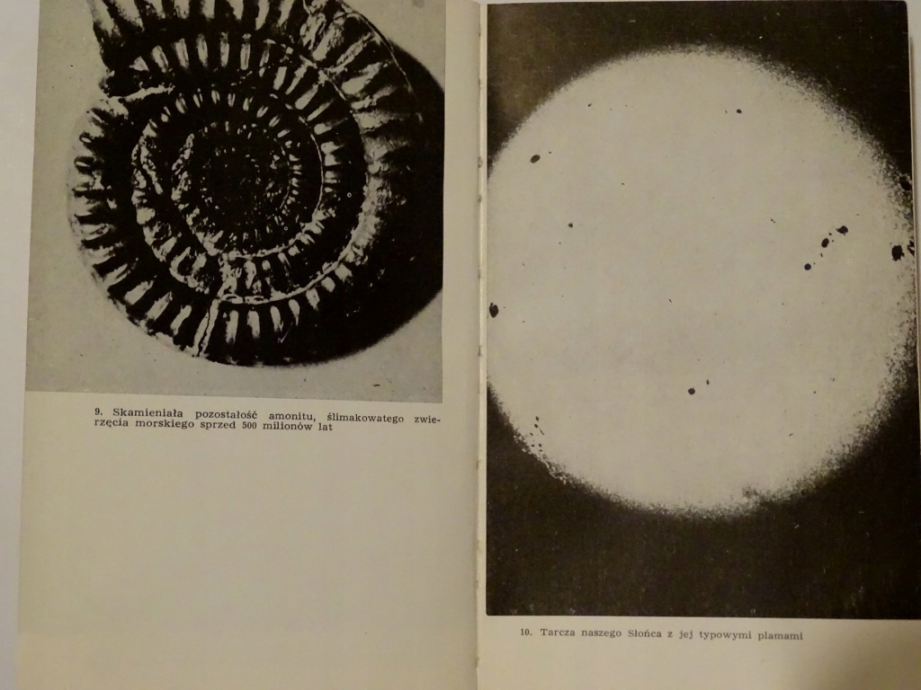 DZIECI WSZECHŚWIATA Hoimar von Ditfurth Tytuł Dzieci wszechświata
