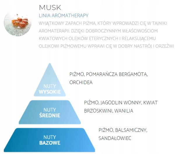 SPRING AIR odświeżacz powietrza MUSK 250ml Marka Spring Air