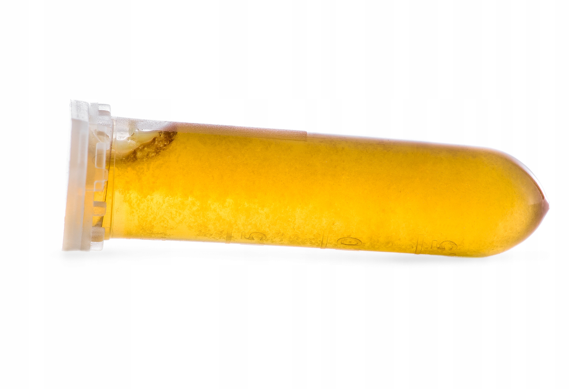 

Prawdziwy miód spadziowy na mrówki do formikarium