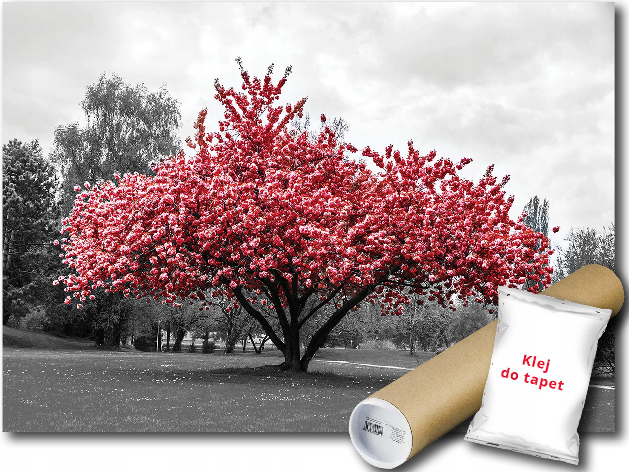 Fototapeta Kvitnúci Strom 9E F2XL 312x219 F11801