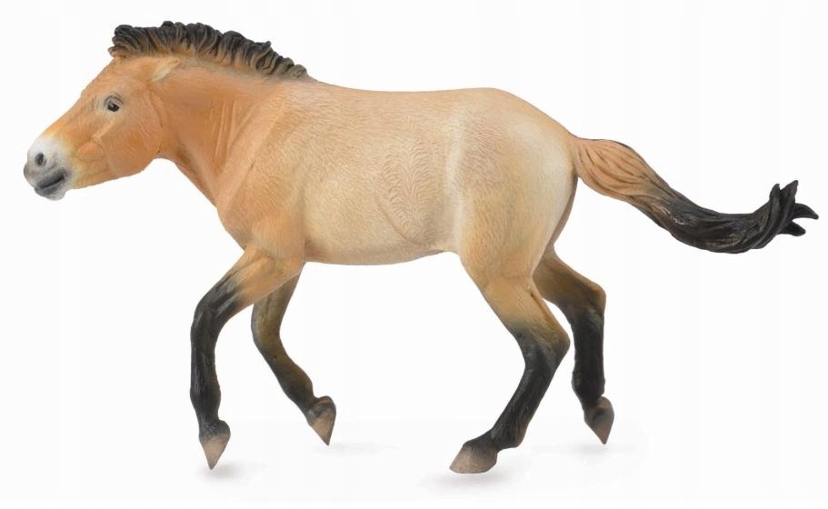 

Ogier Przewalski CollectA 88602- XL
