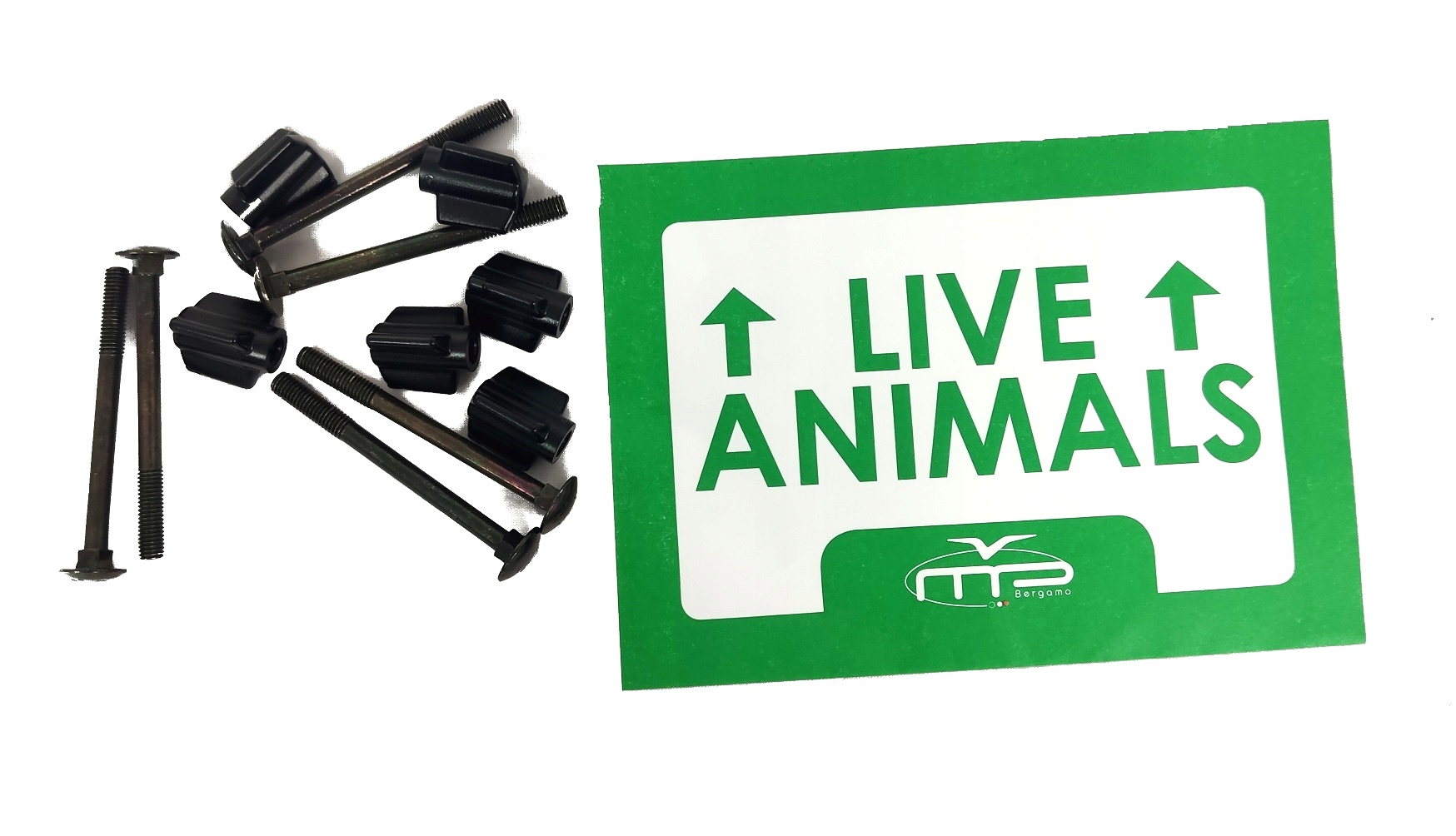 

Zestaw Śrub Iata Do Transporterów Bracco 1-6