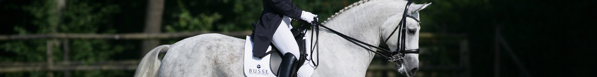 13,5 STALOWE WĘDZIDŁO WIELOKRĄŻEK DLA KONIA BUSSE Kod producenta KIEŁZNO JEŹDZIECKIE DO JAZDY KONNEJ KONN