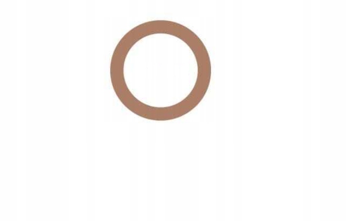 

Oring 13,4 x 1,8mm Citroen, Fiat, Peugeot