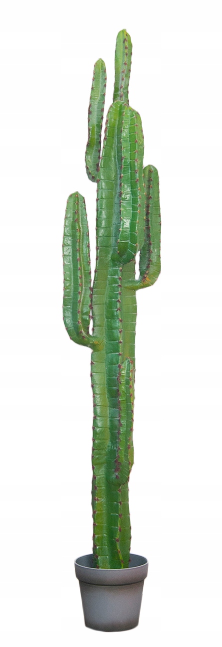 

Kaktus Sztuczny z doniczką XL