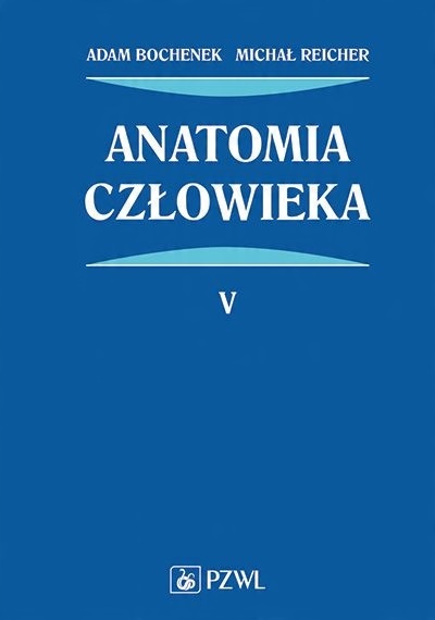 

Anatomia człowieka Tom 5